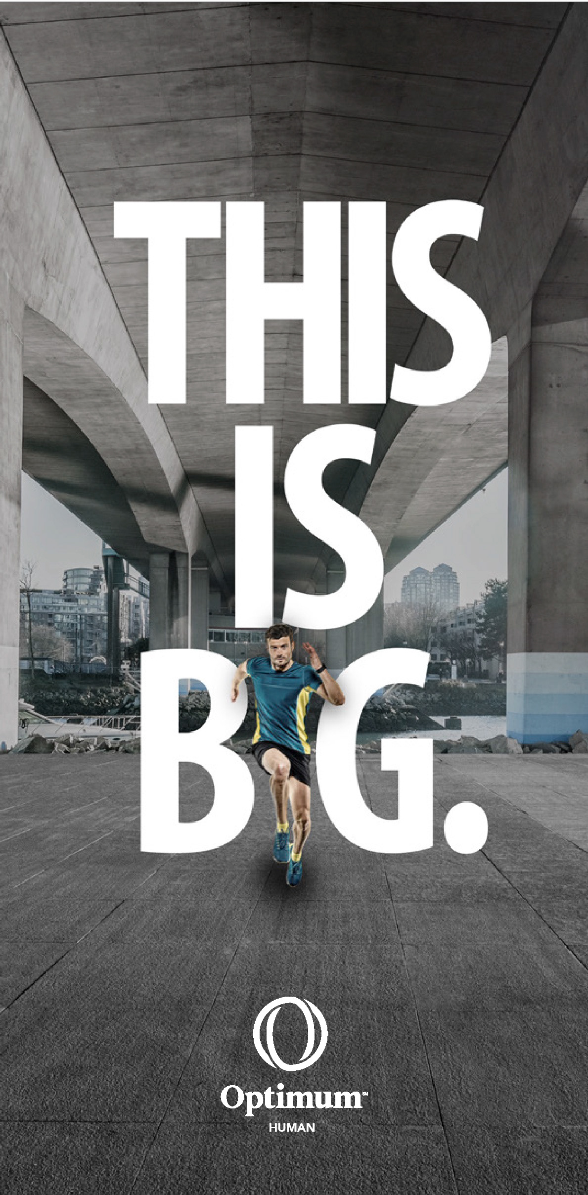 Advertising art direction