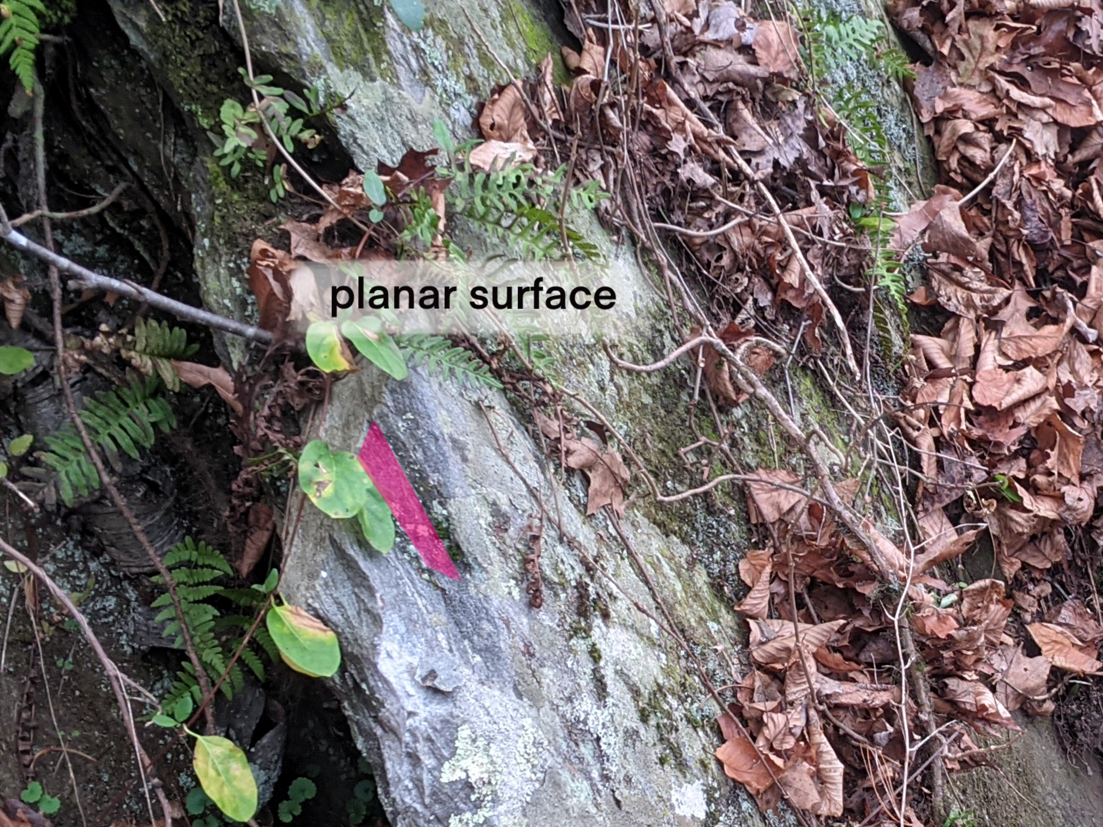 Image showing layers of outcrop dipping to the right of the image. A magenta plane is projected from the image showing a planar surface projected from the layers of the rock. Text reads "planar surface". 