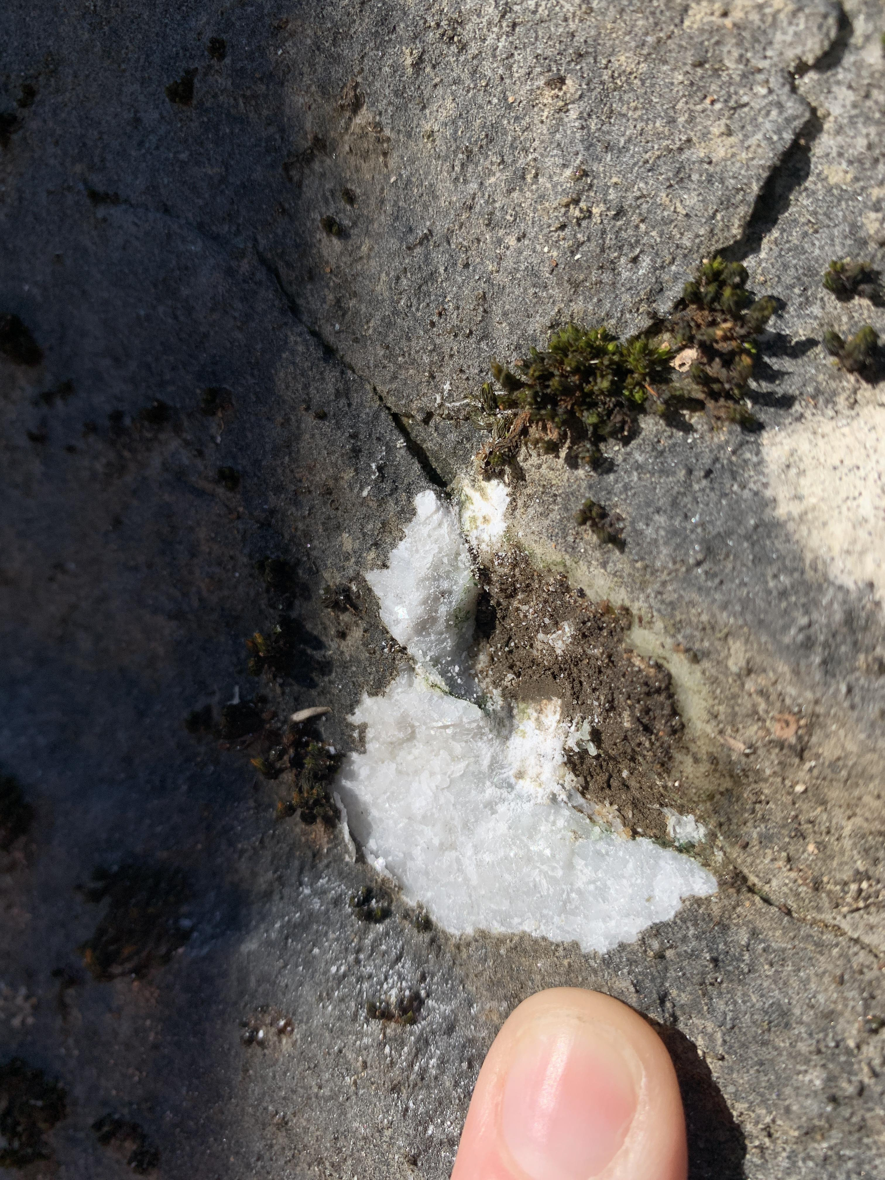 A finger points to a small exposure of unweathered rock that is within the dark gray weathered face of the rock. The grains are very white in this image. Small bits of moss and lichen can be seen. The exposed rock is roughly nickel-sized.