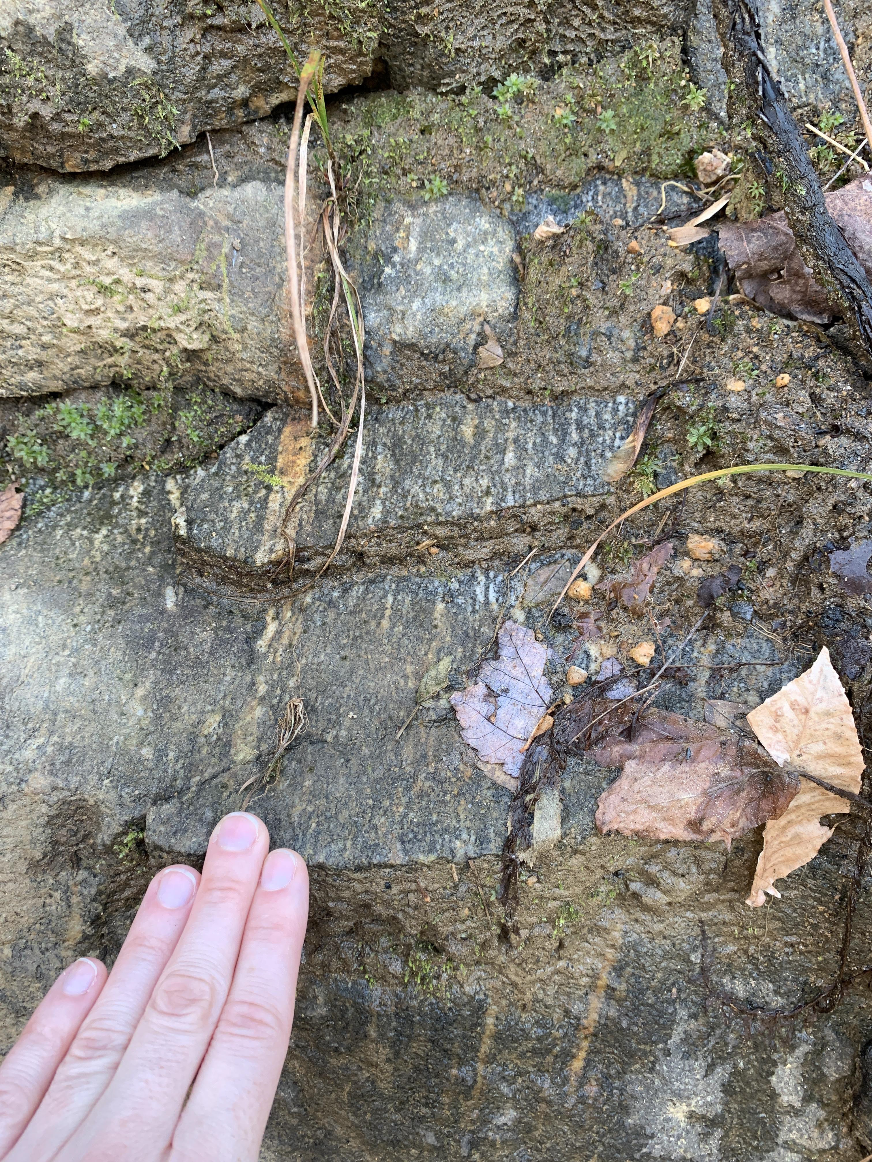 Hand points to a portion of the outcrop that looks similar to stair steps with light/dark banding visible and multiple planar surfaces exposed.