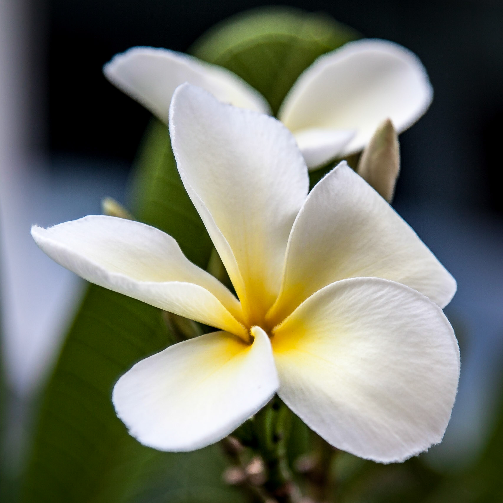 When traveling the world, take a minute to look at the small things around you