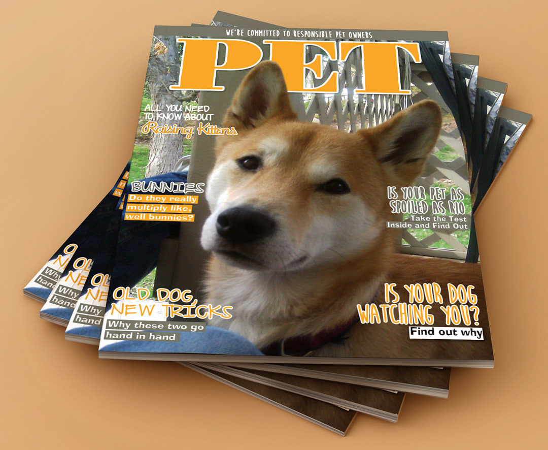 Pet