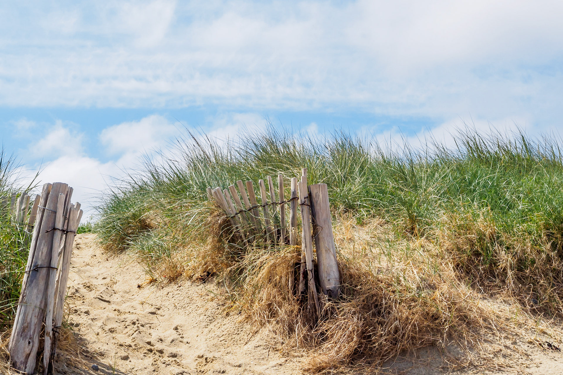 Sillon De Talbert IX