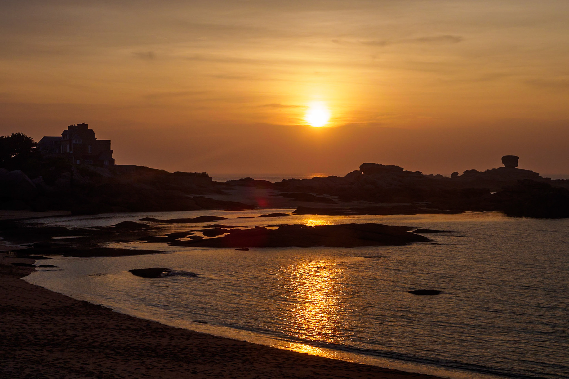 Golden Ile Renote IX