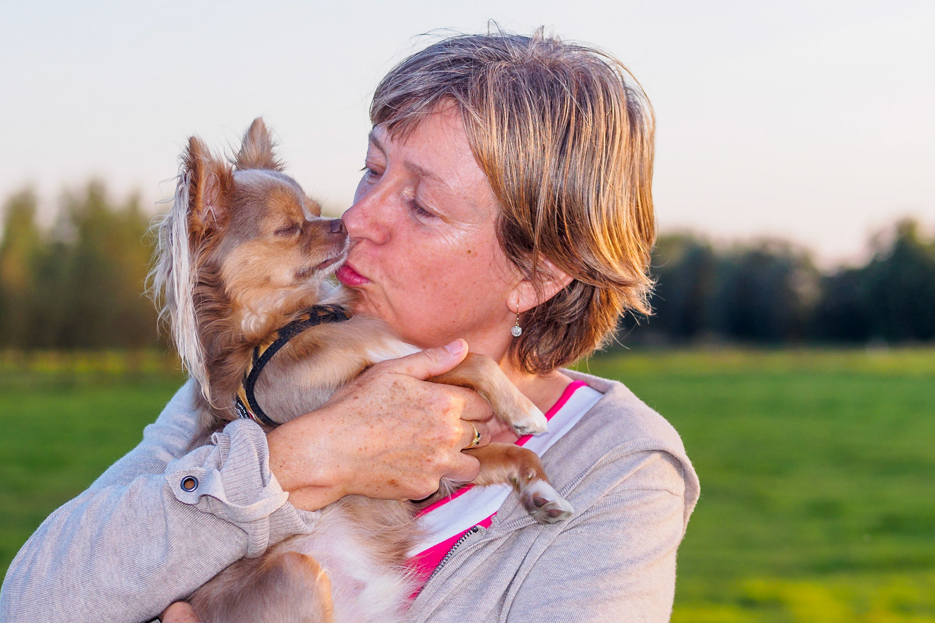 Friendly Lady with Chihuahua VII