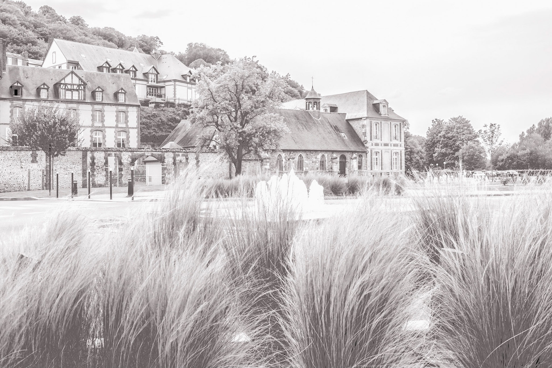 Beach grass, fountains, trees, bushes, so many elements of nature found in Honfleur