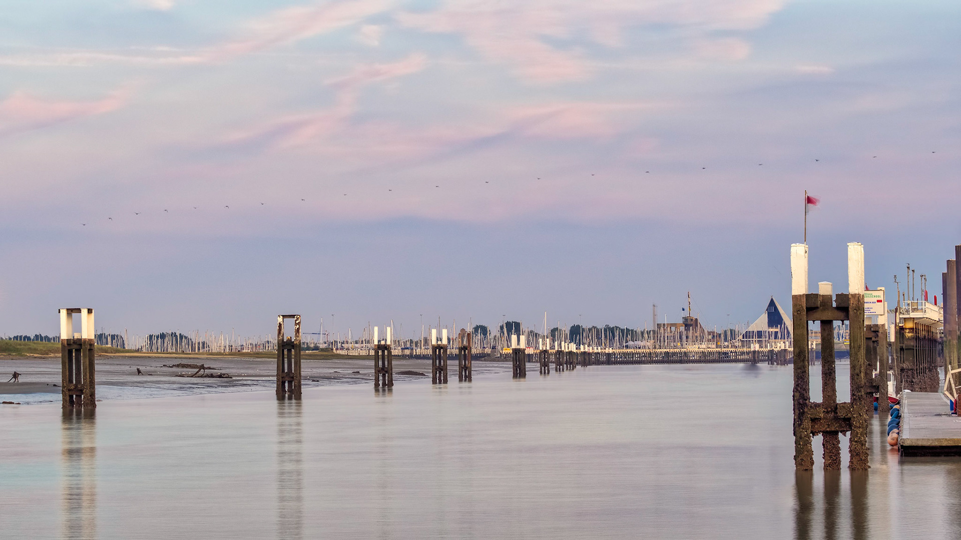 One flew over the harbour
