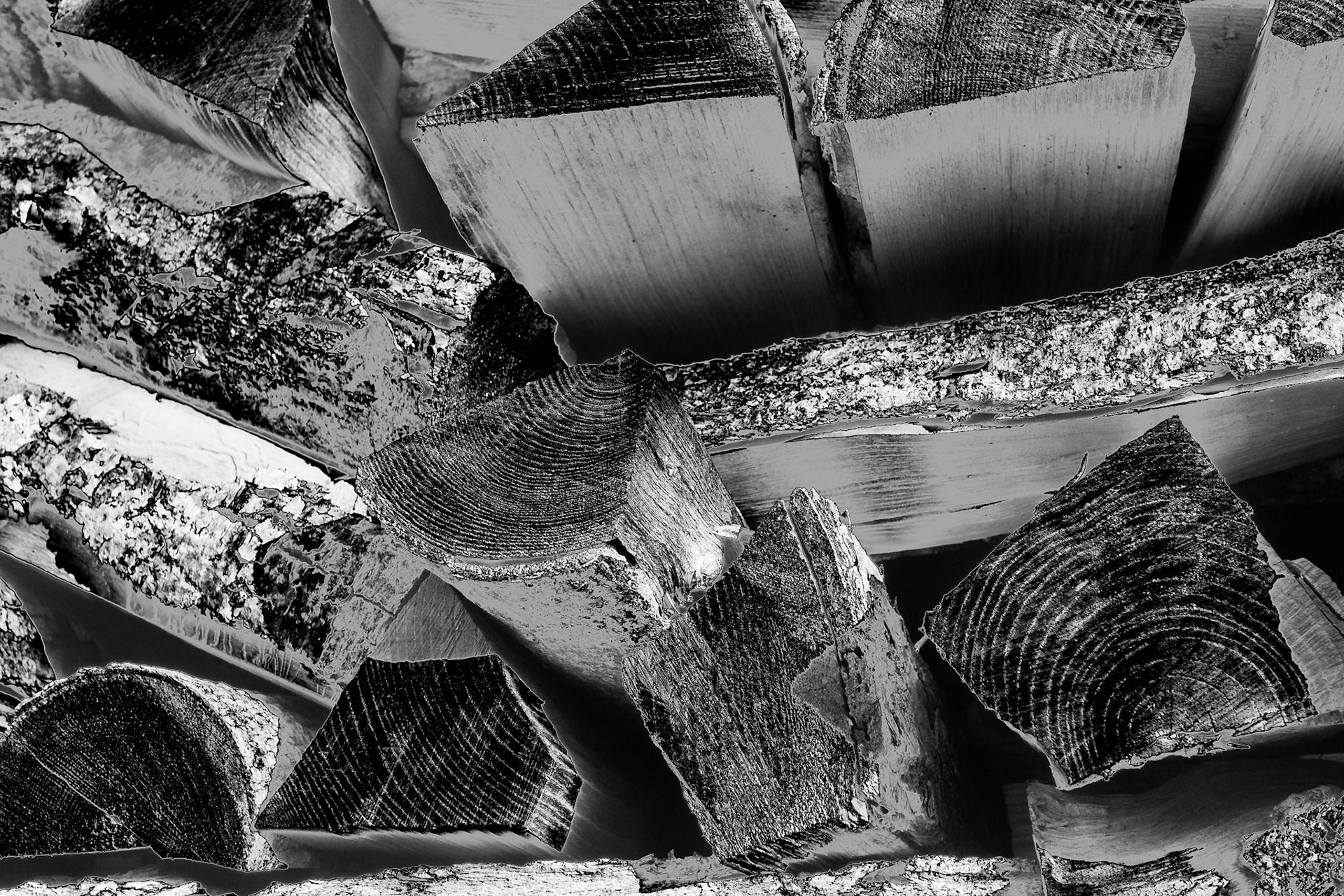 Contrasty detailed black and white processing gives this photo a drawing like aspect.