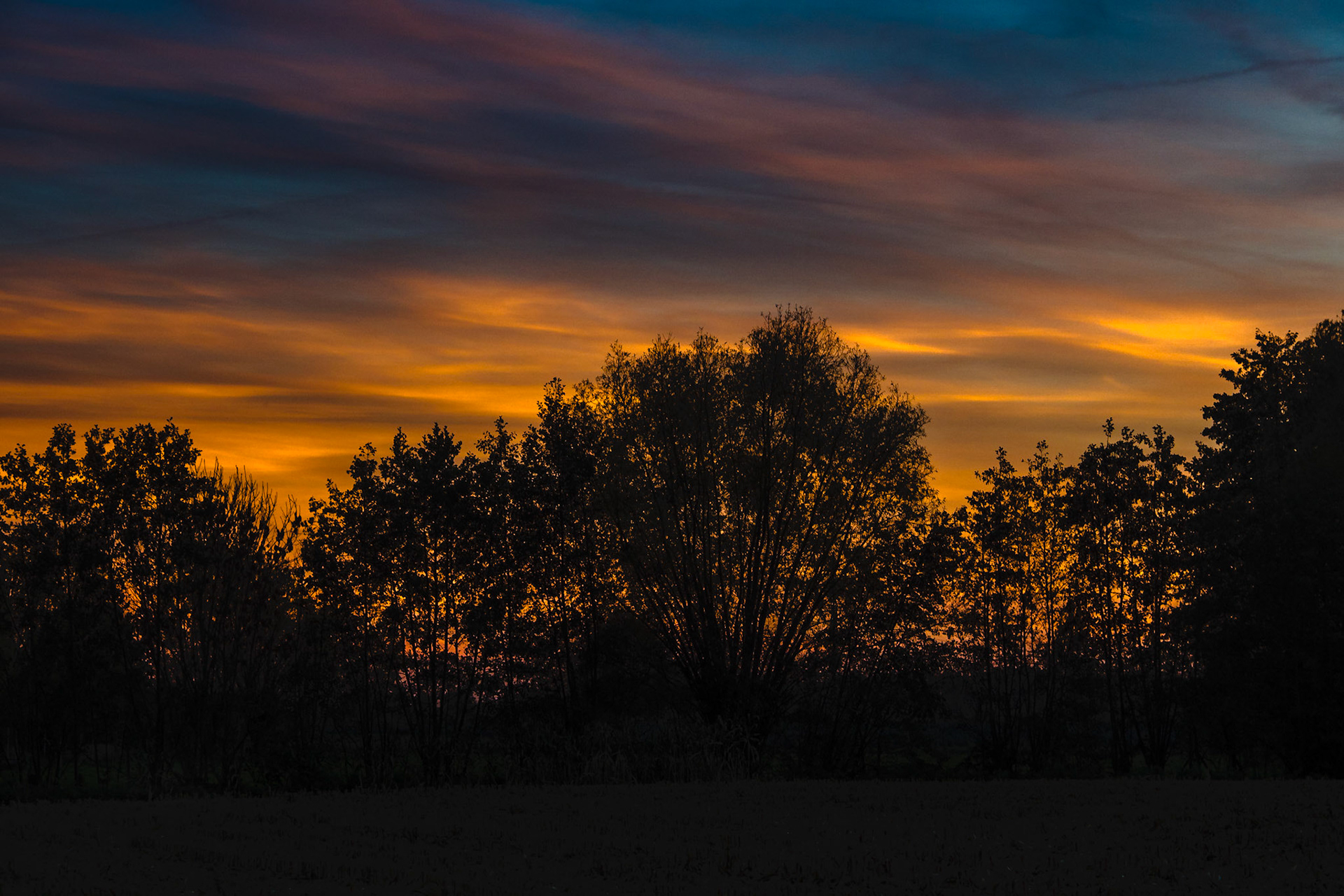 Silhouettes against the evening sky I