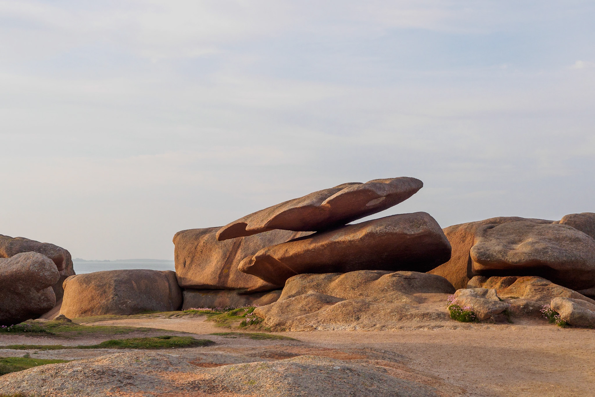 Delicate Balance Renote