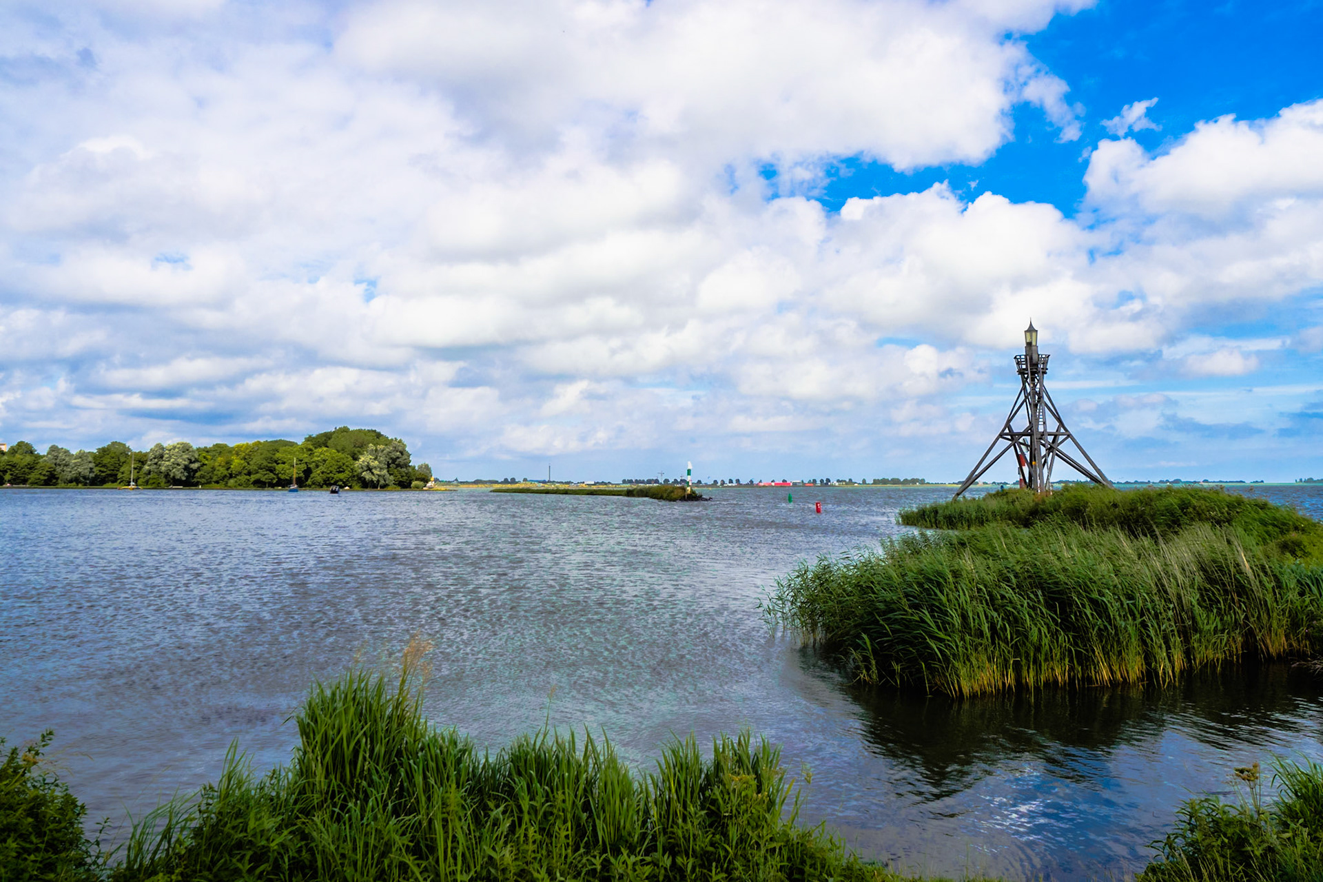 Wild grass and a lighthouse under a clouded sky