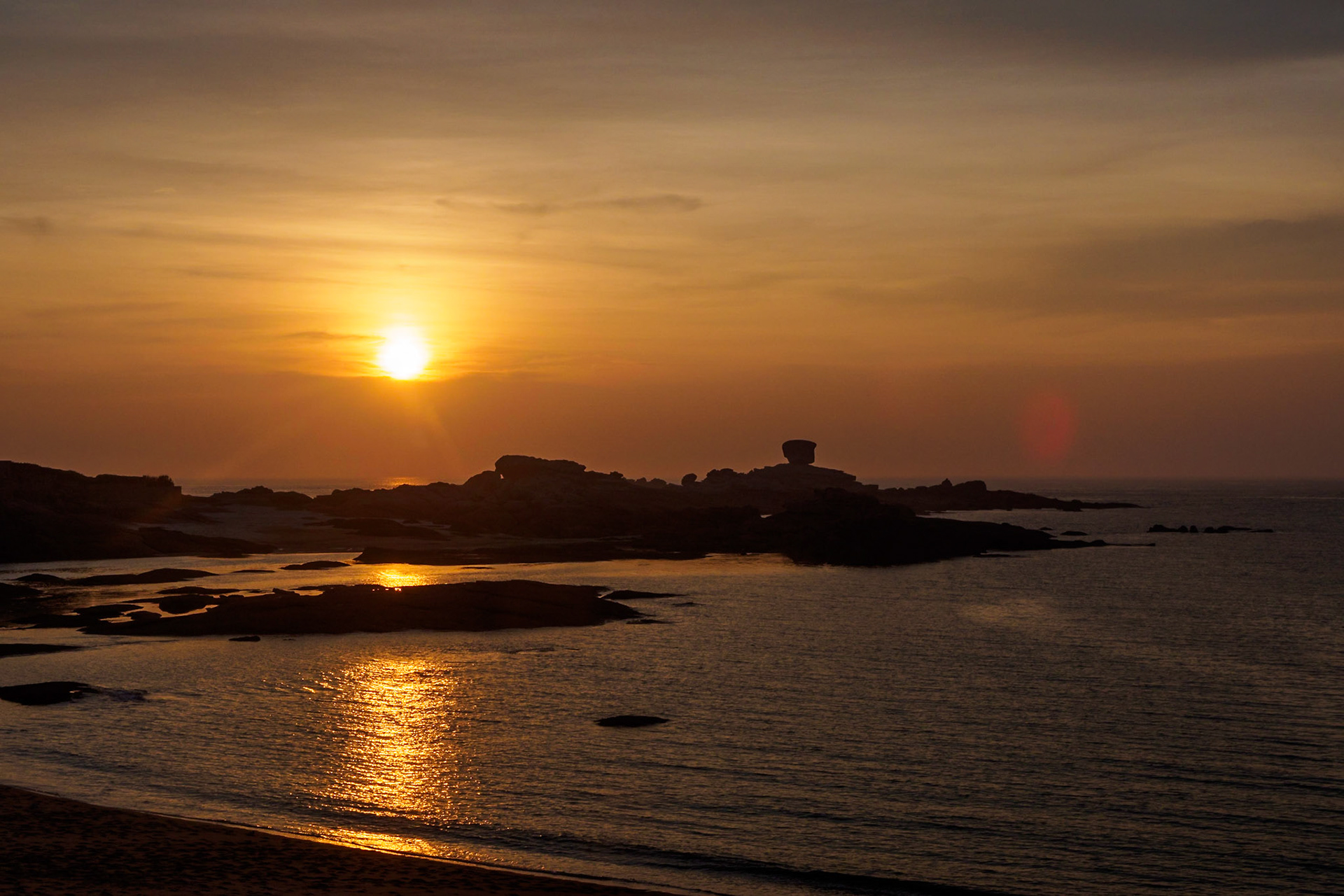 Golden Ile Renote VII