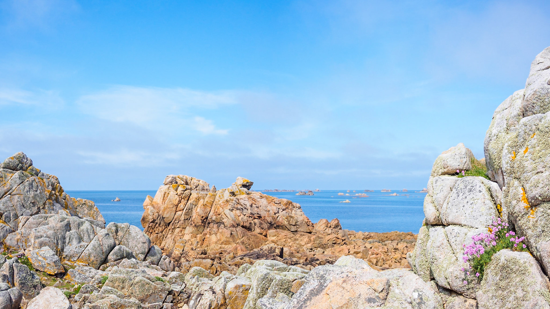 Gite de Pors Hir VIII