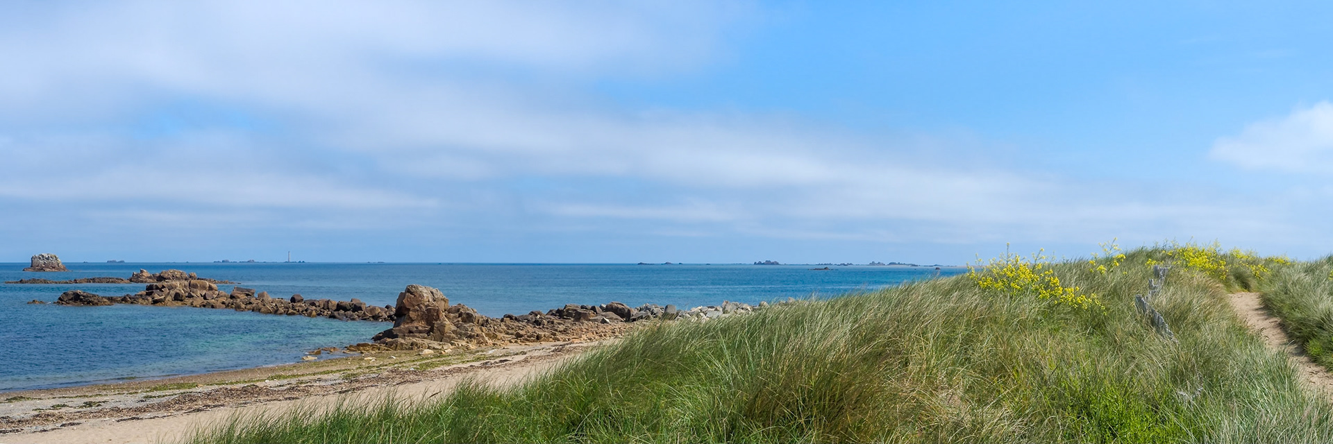 Sillon De Talbert VIII