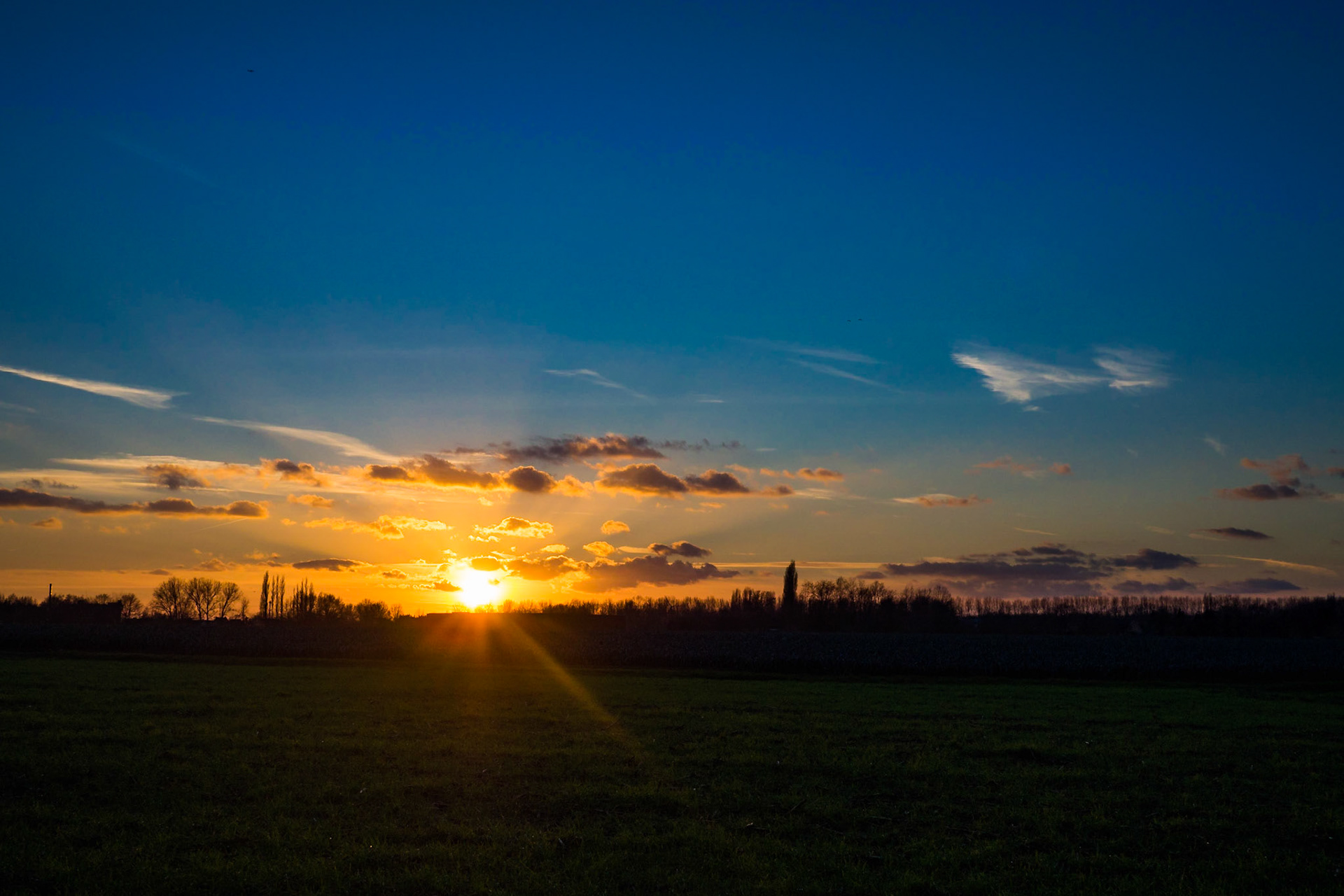 Starburst of the setting sun peeping through the dark silhouettes