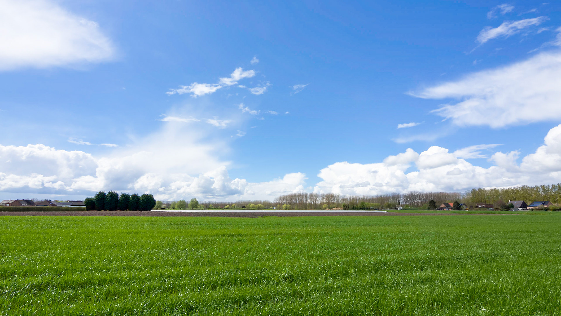 Greenness abounds as the year starts a new cycle of life