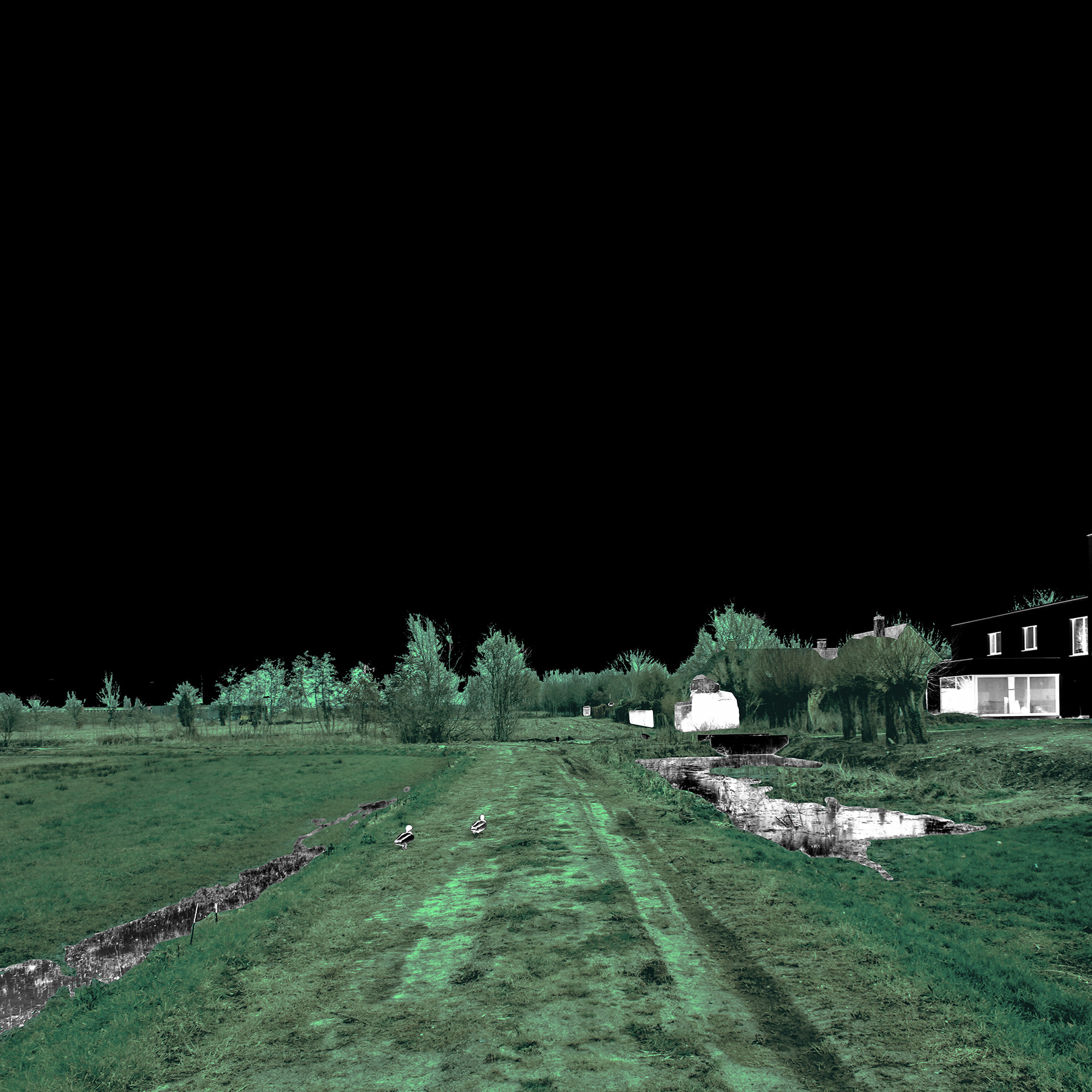View from the marsh towards the field