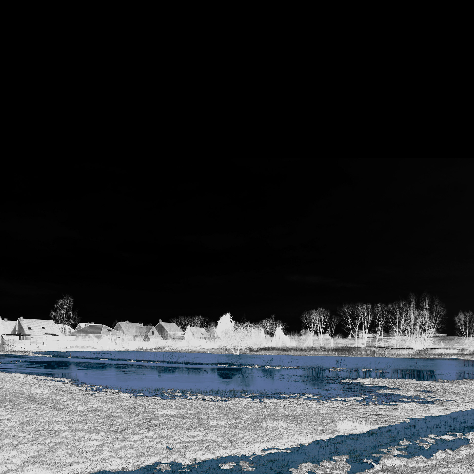 Water on the marsh present for the majority of the year - a resting space for local individuals