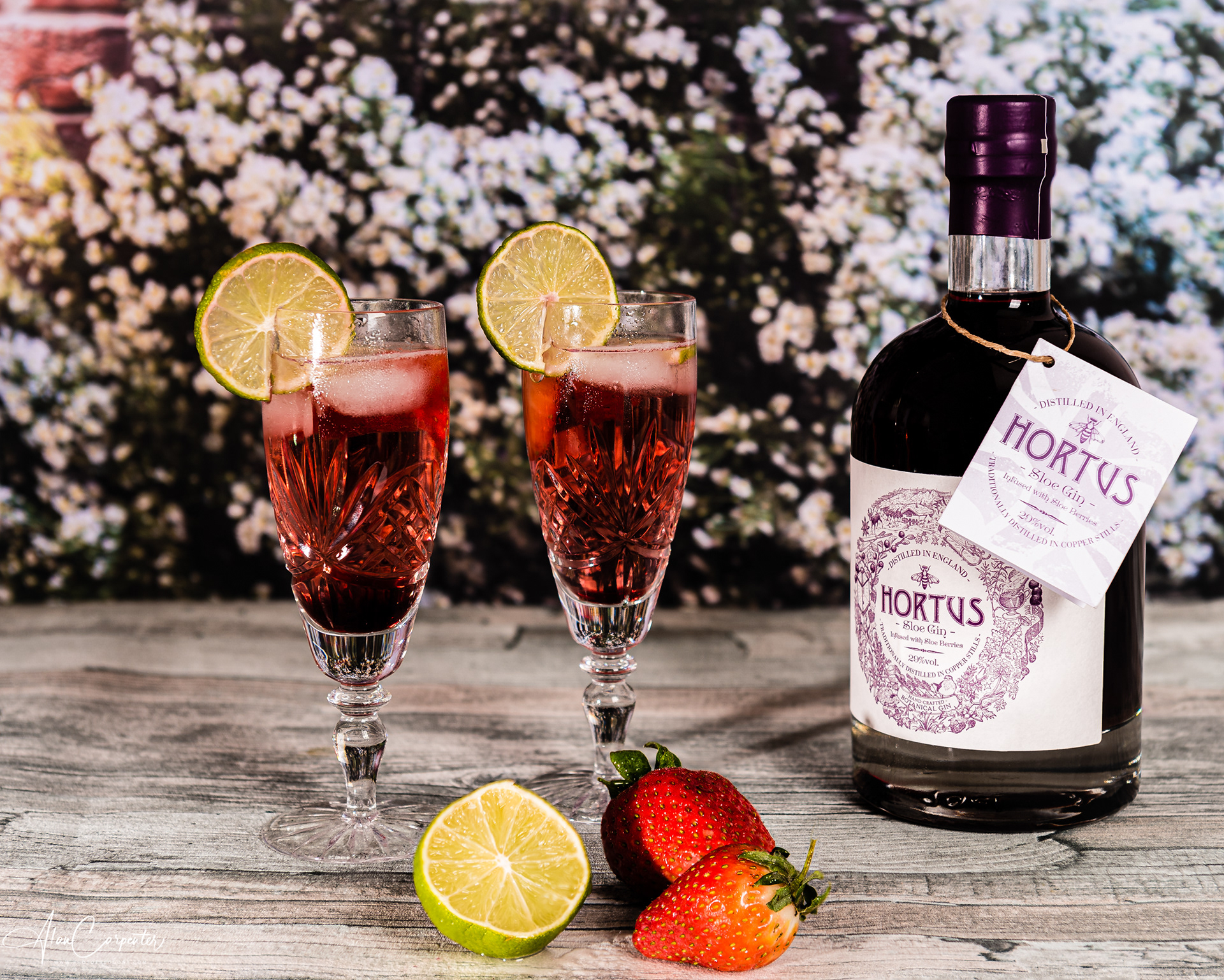 Sloe Gin - Lifestyle