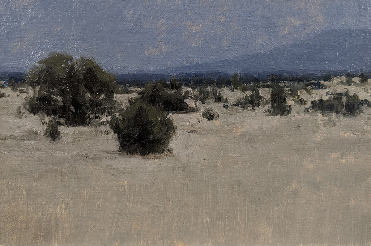 Kaibab Forest, 4x6 in.