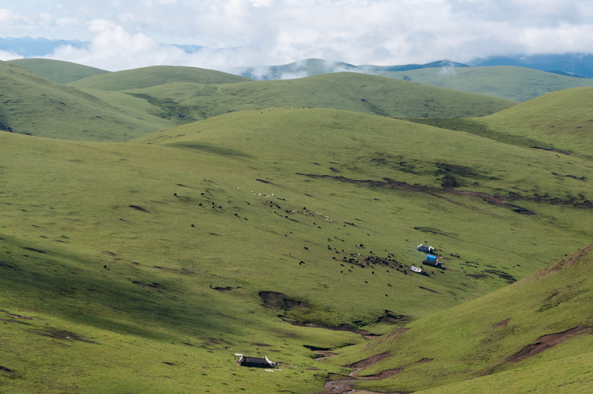 China, Eastern Tibet or Western Sichuan, also krown as Kham,