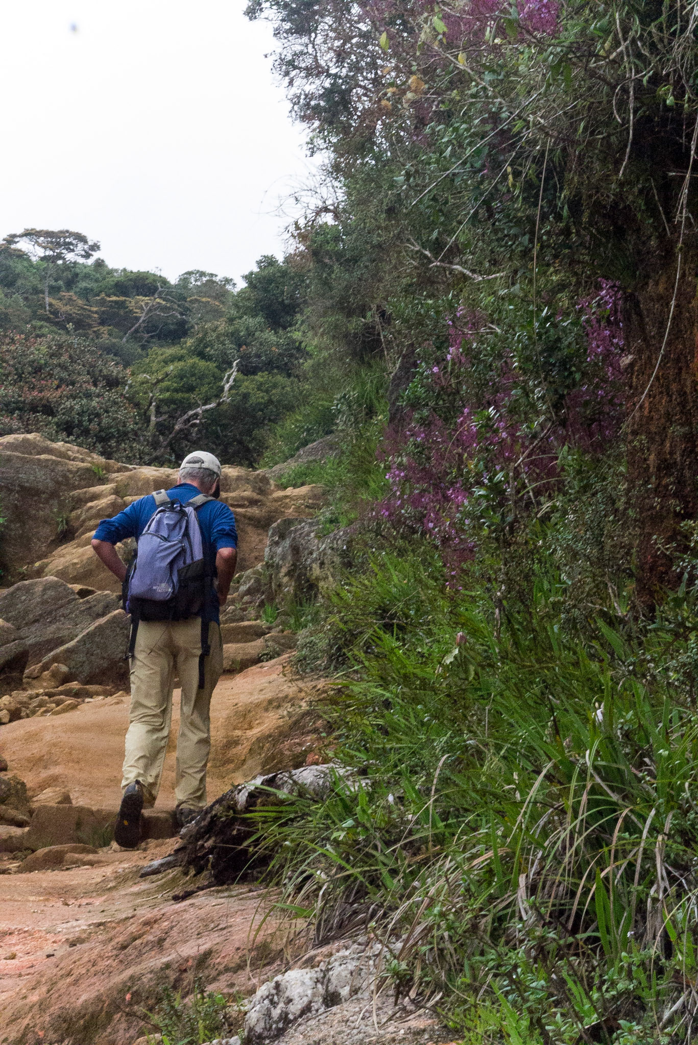 Sri Lanka, Horton Plains
