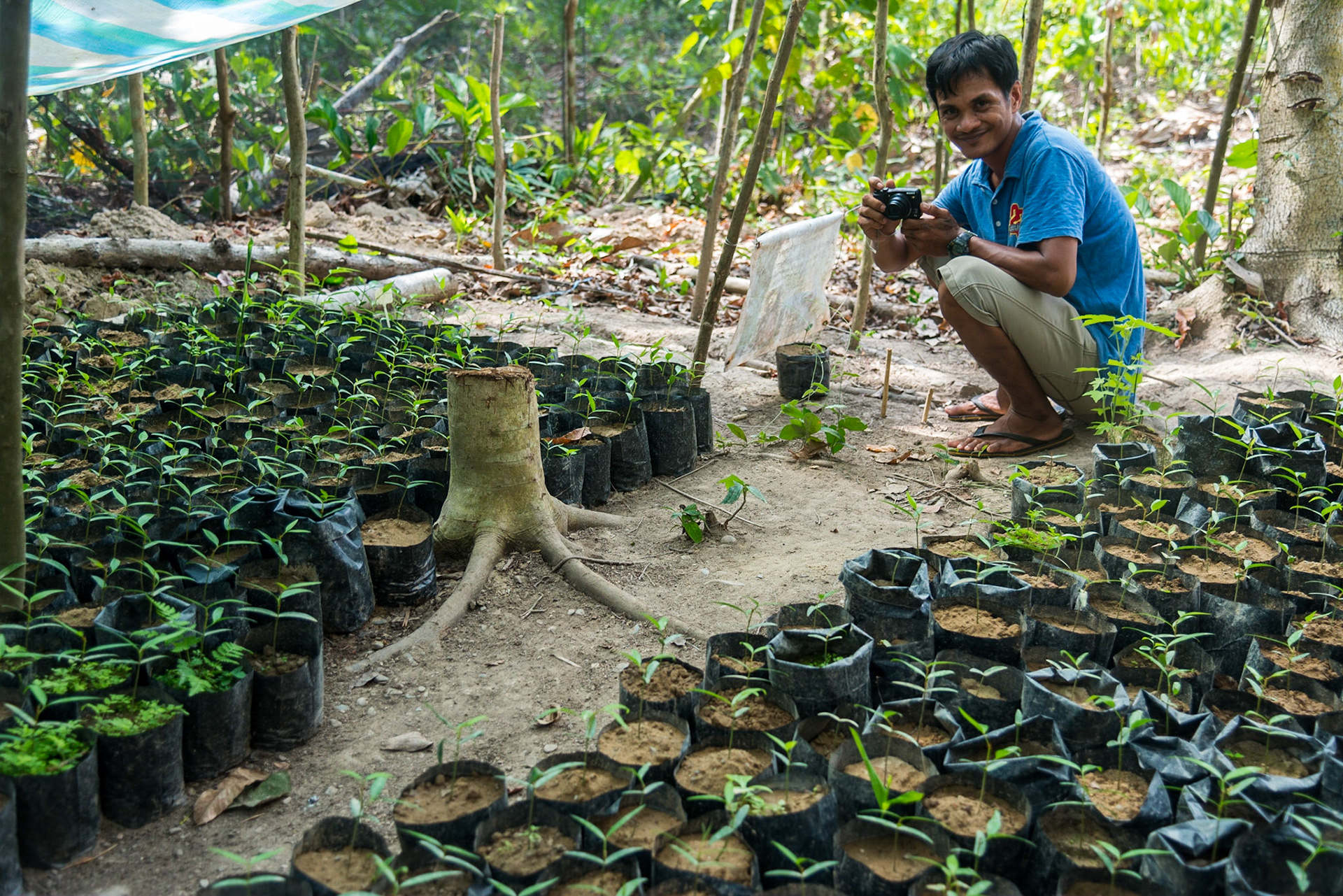 The Philippines, Palawan Island