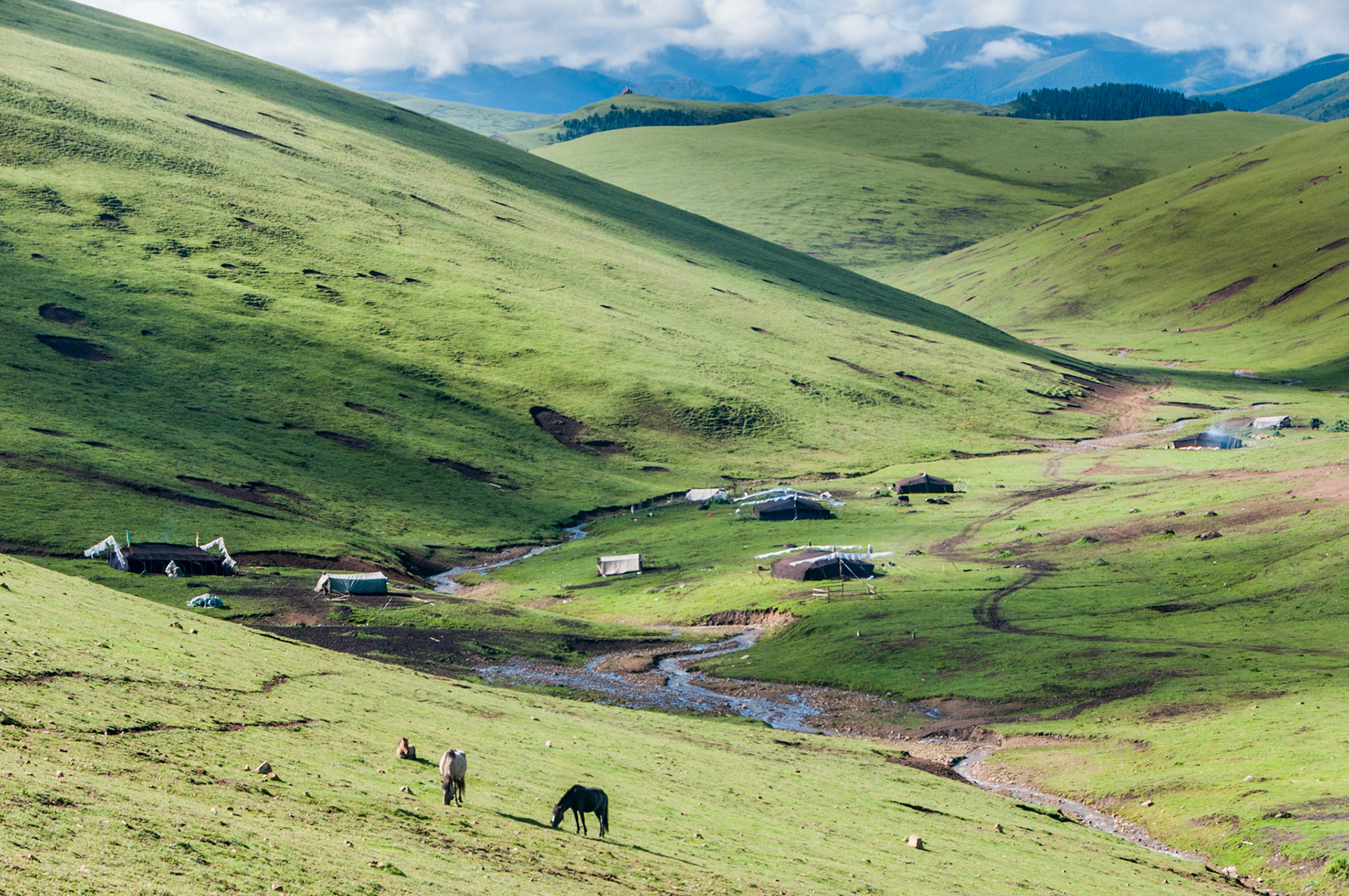 China, Eastern Tibet or Western Sichuan, also known as Kham, nomad's tents in a grassy valley