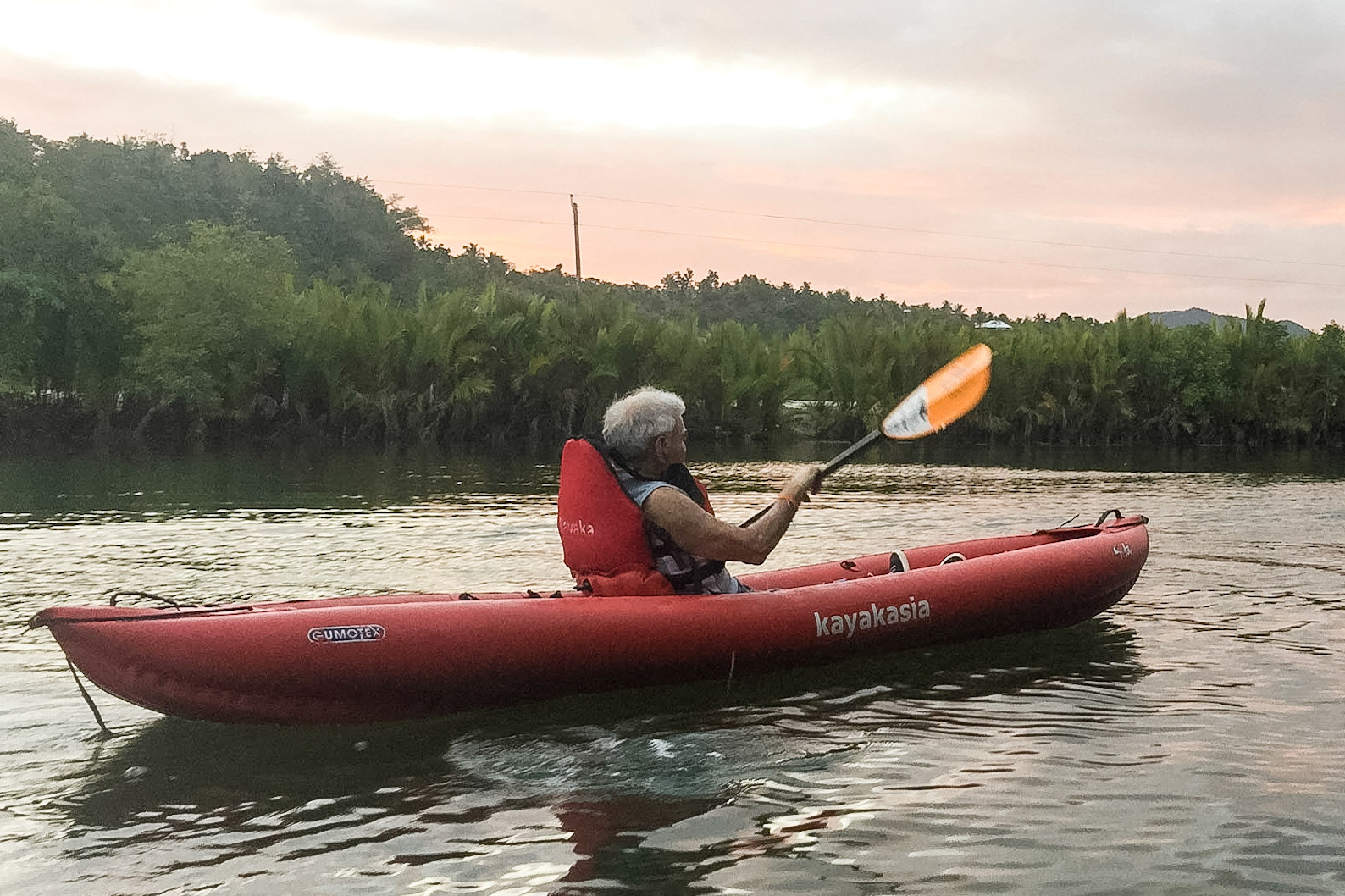 The Philippines, Bohol Island, sea kayaking in mangrove swamps for fire flies