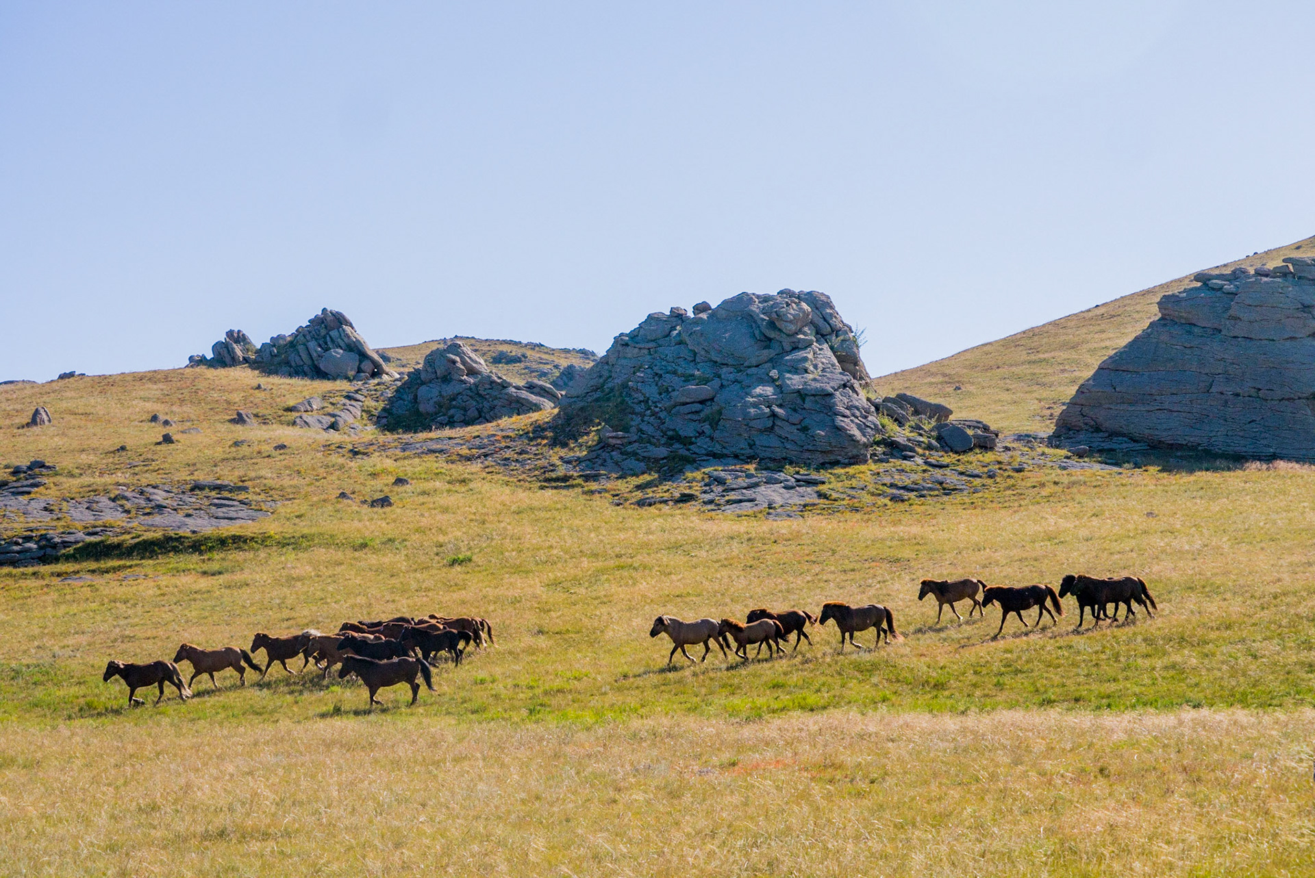 Mongolia, photos from a bicycle tour with Compass Rose Expeditions