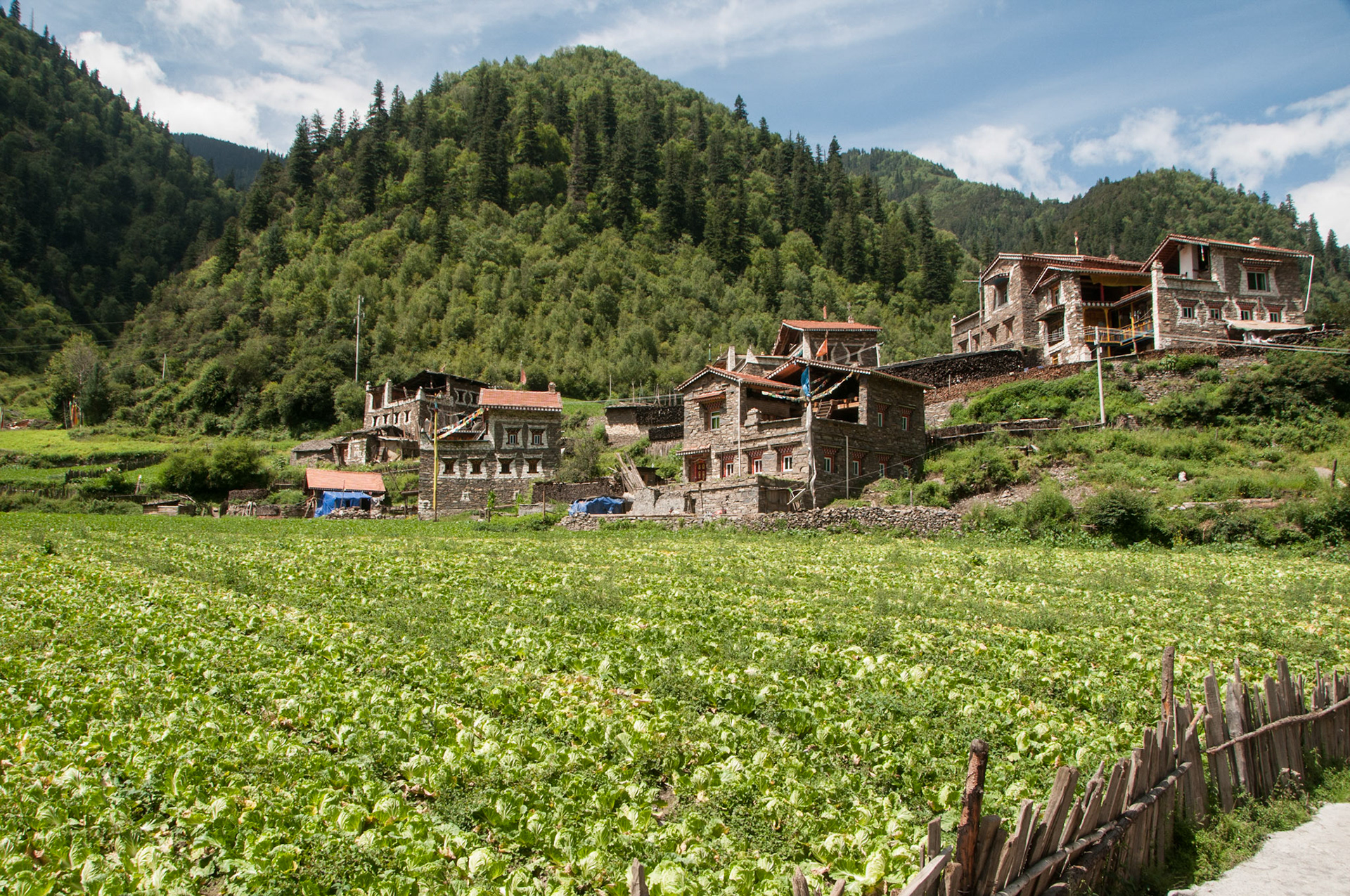 China, Eastern Tibet or Western Sichuan, also krown as Kham,