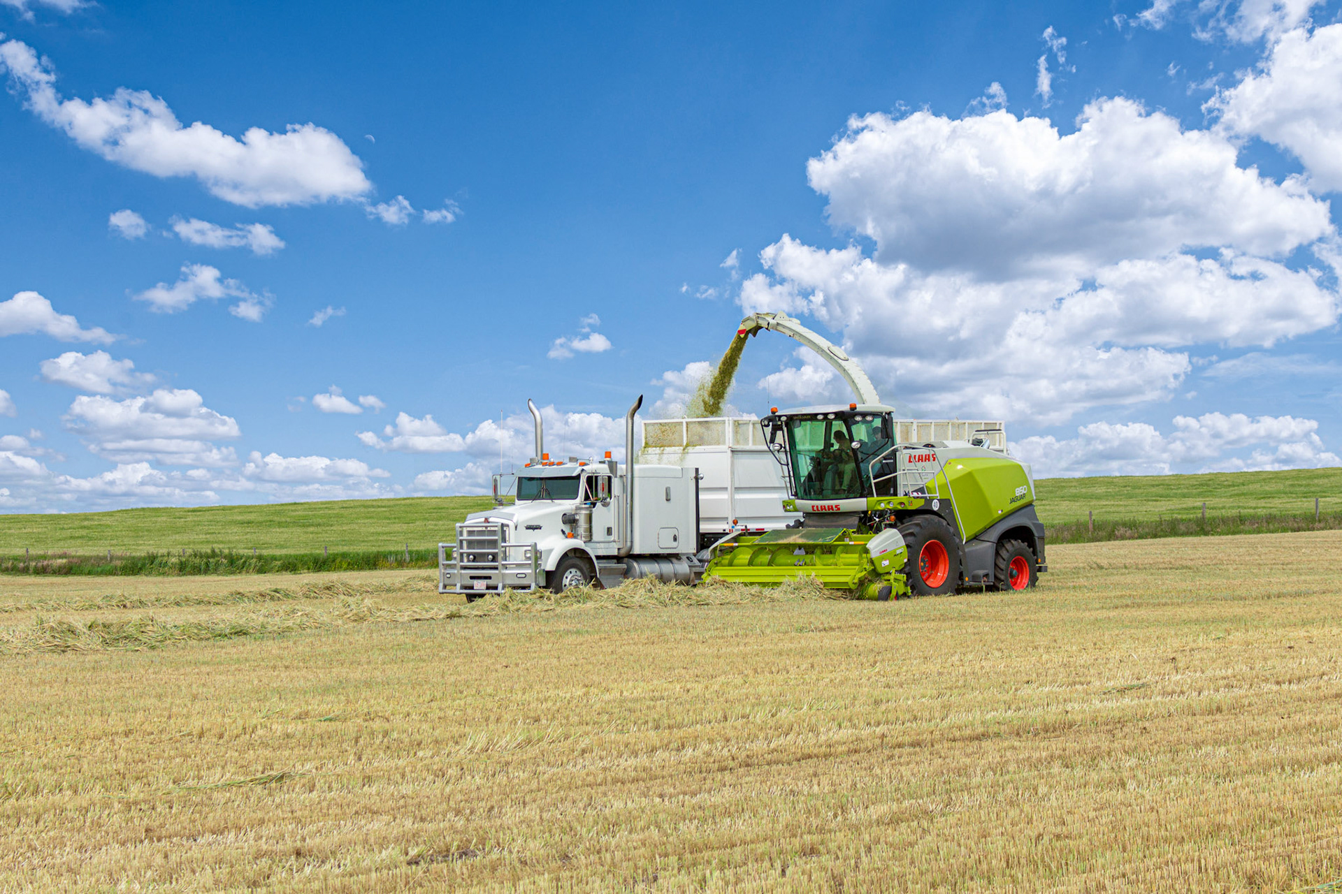 Small Machine Doing Big Things!