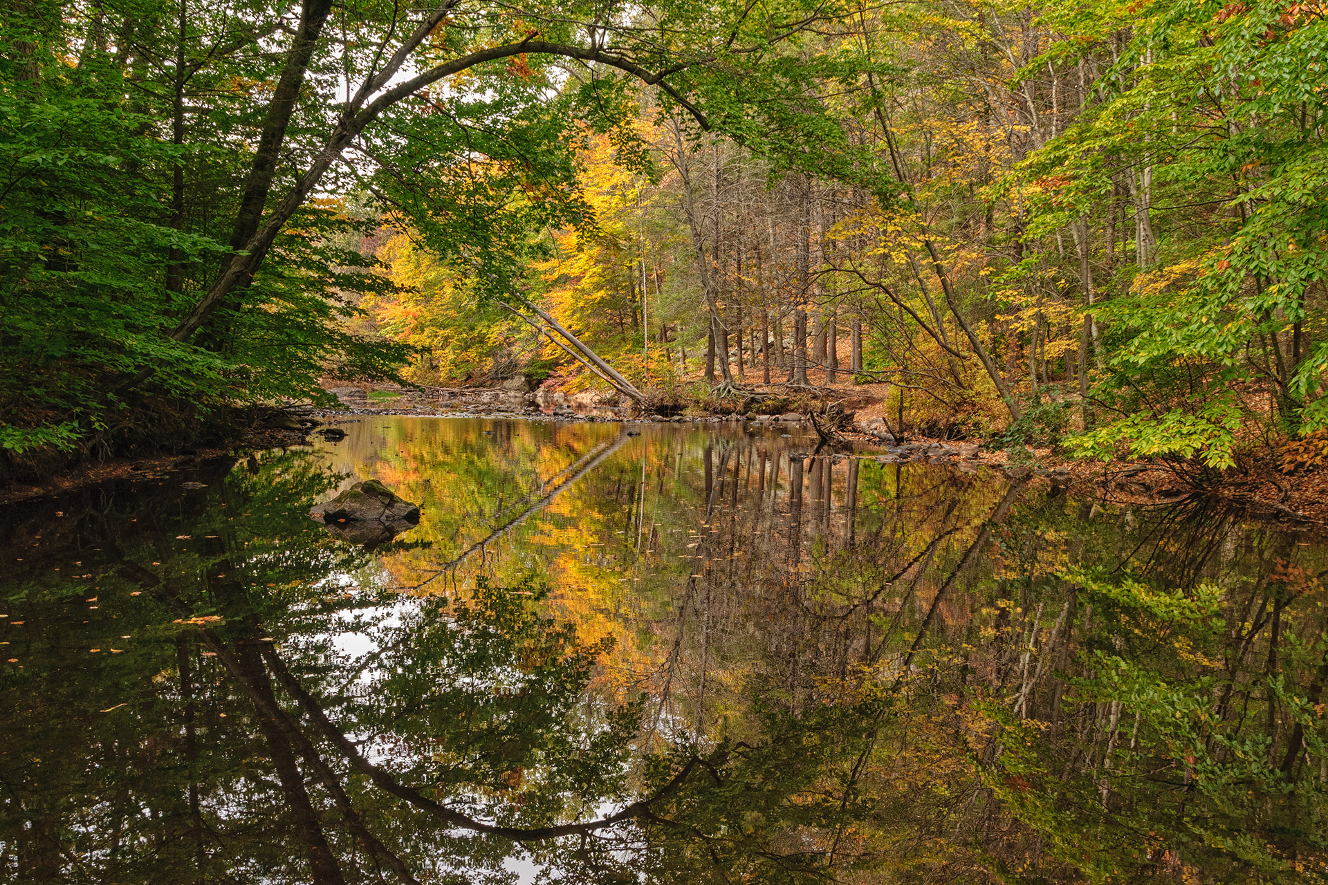 James Robertson - Sleeping Giant State Park