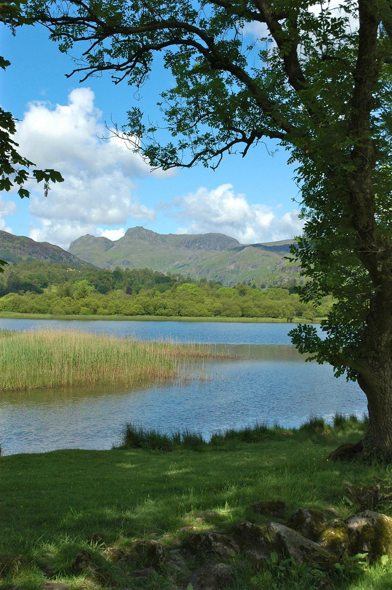 Elterwater and the Langdale Pikes in the English Lake District