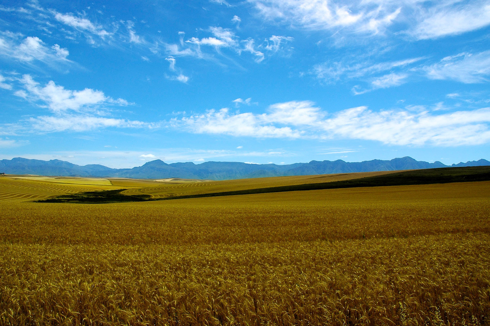 View from the Garden Route near Swellendam, Western Cape, South Africa