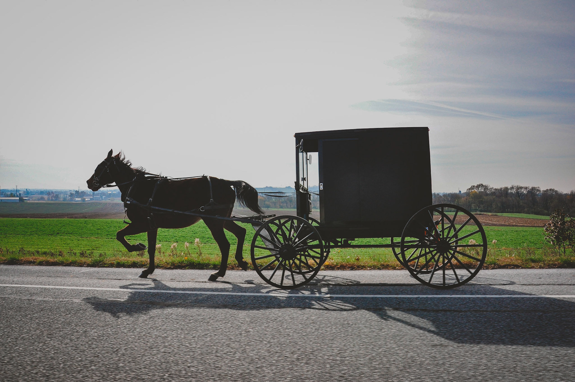 Amish and English share the road in Lancaster County, Pennsylvania. 

11/2013