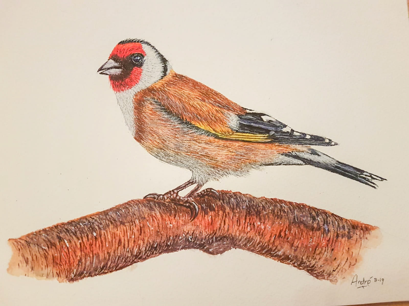 Goldfinch A4 (Tutorial by @thedevonartist)