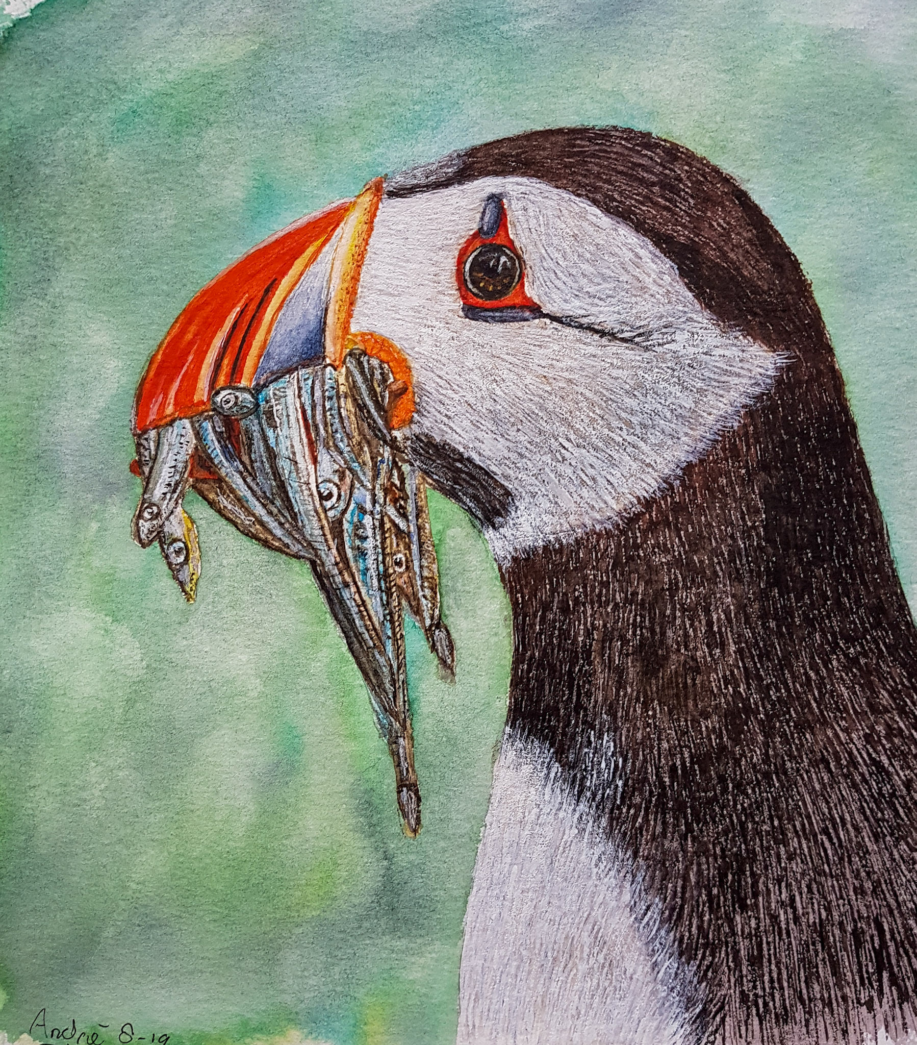 Puffin A4 (Tutorial by @thedevonartist)