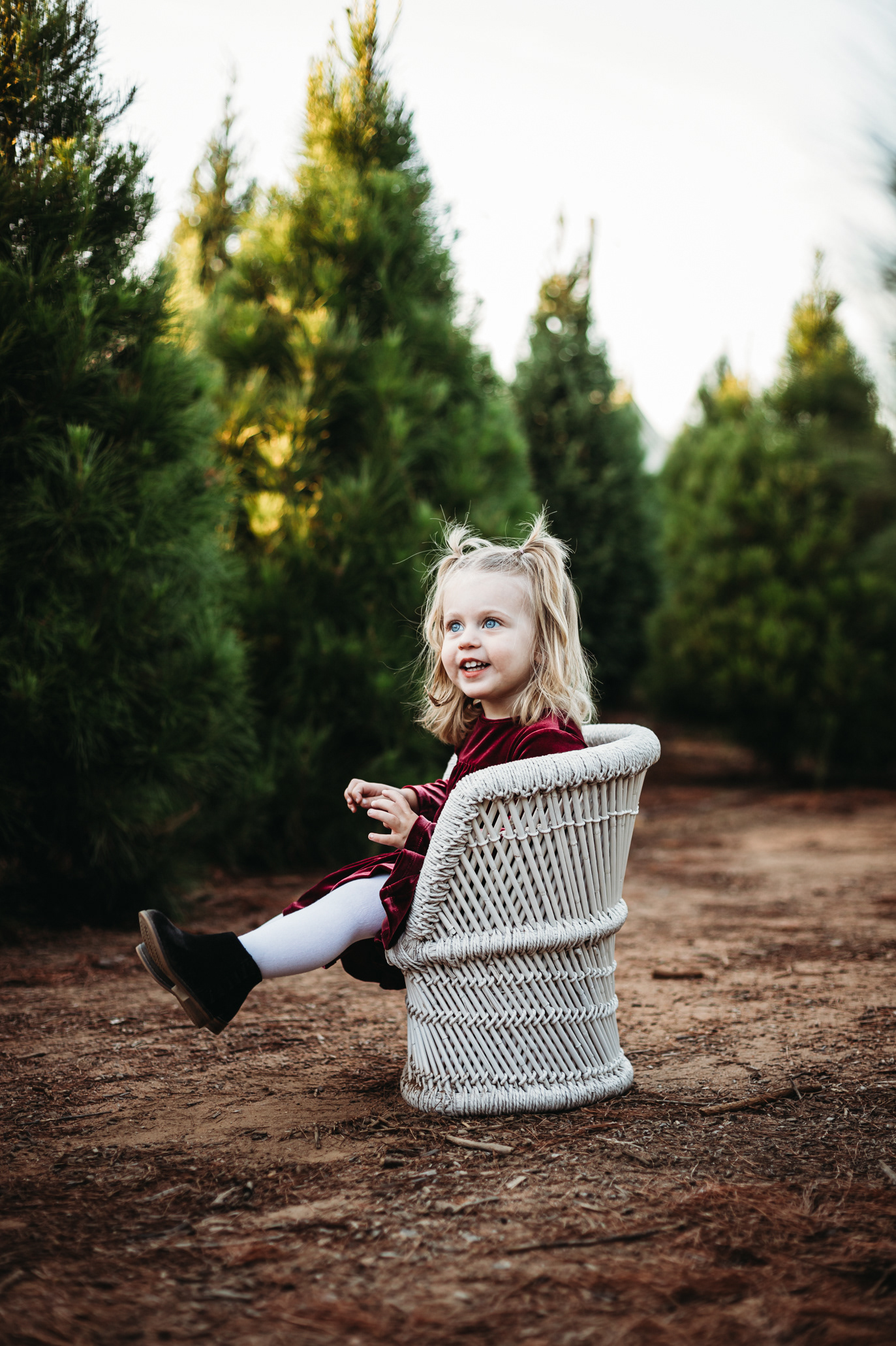 Family Holiday Portrait at the Family Christmas Tree Farm Christmas Minis 2019 with morning owl fine art photography