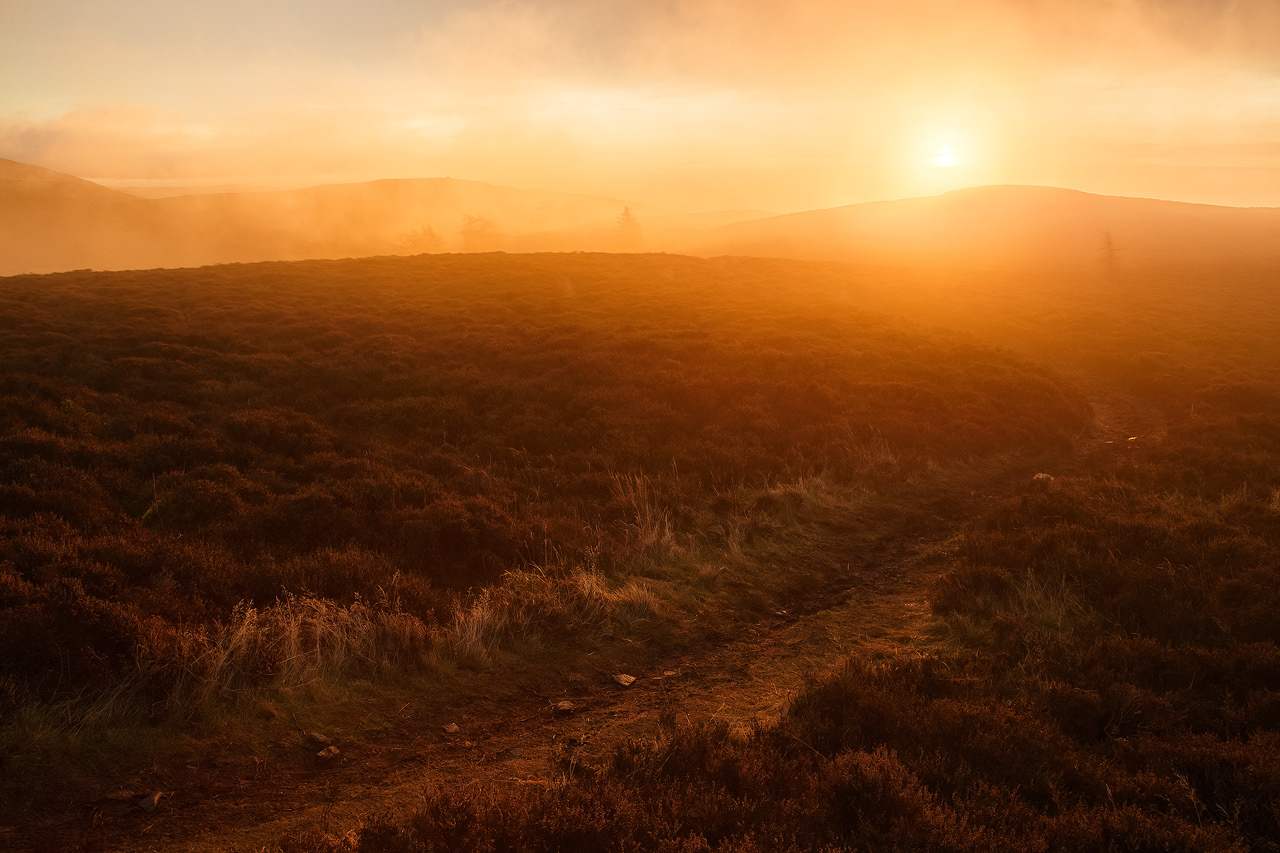 Sunrise below Auchterhouse Hill, Sidlaws