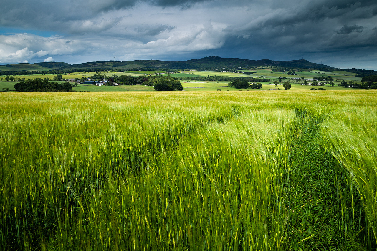 Storms over Auchterhouse and the Sidlaws, Angus