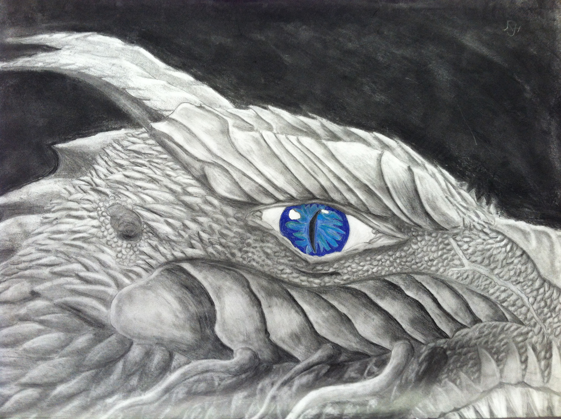 Greyscale the Honored is an old piece of mine. I was tired of not being able to get enough detail on the scales of dragons I drew, so I took a huge piece of paper and did a close up. I didn't draw many outlines, sketching or guidemarks, I just started shading empty paper and filling it with scales. I was completely covered in graphite every time I worked on it, so in issence, the moe the Greyscale came into reality, the greyer I became.