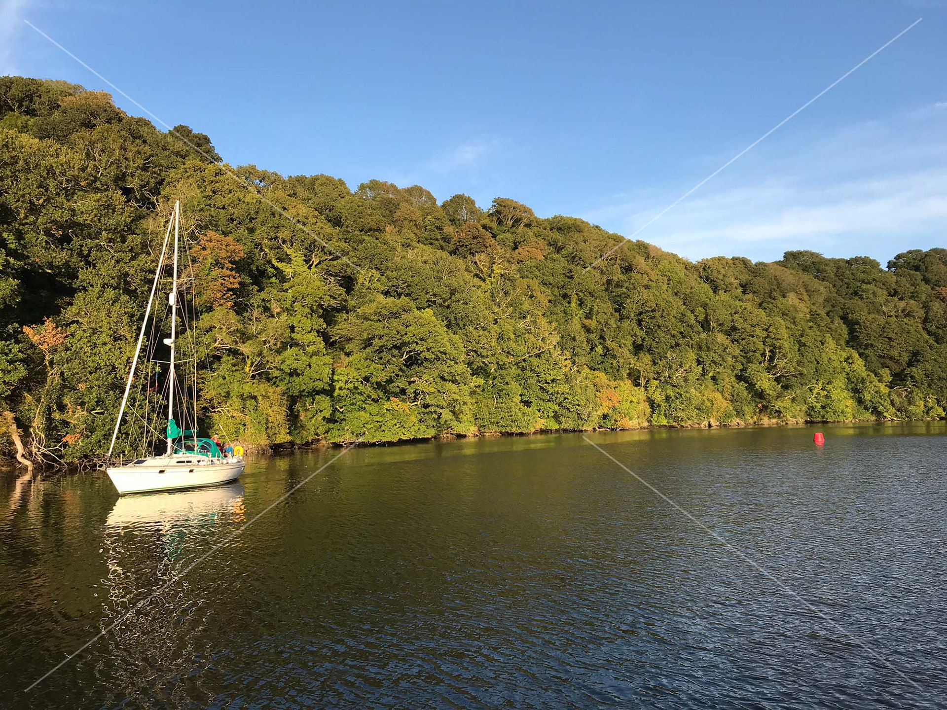 River Dart in Totnes