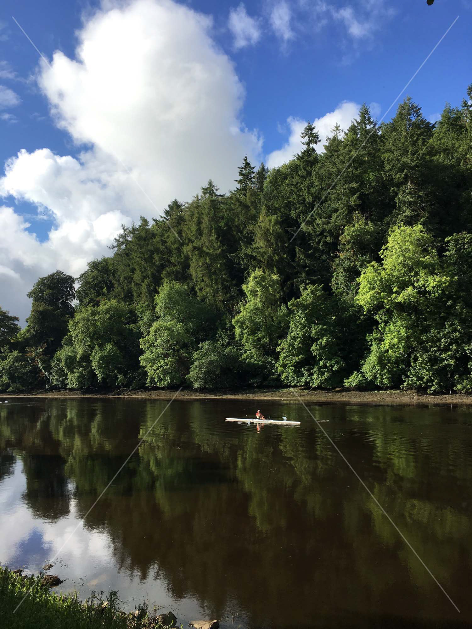 River Dart in Totnes