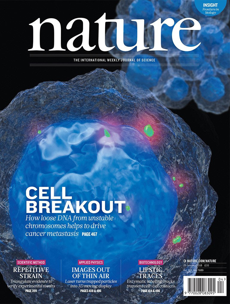 unstable chromosomes in cells editorial illustration