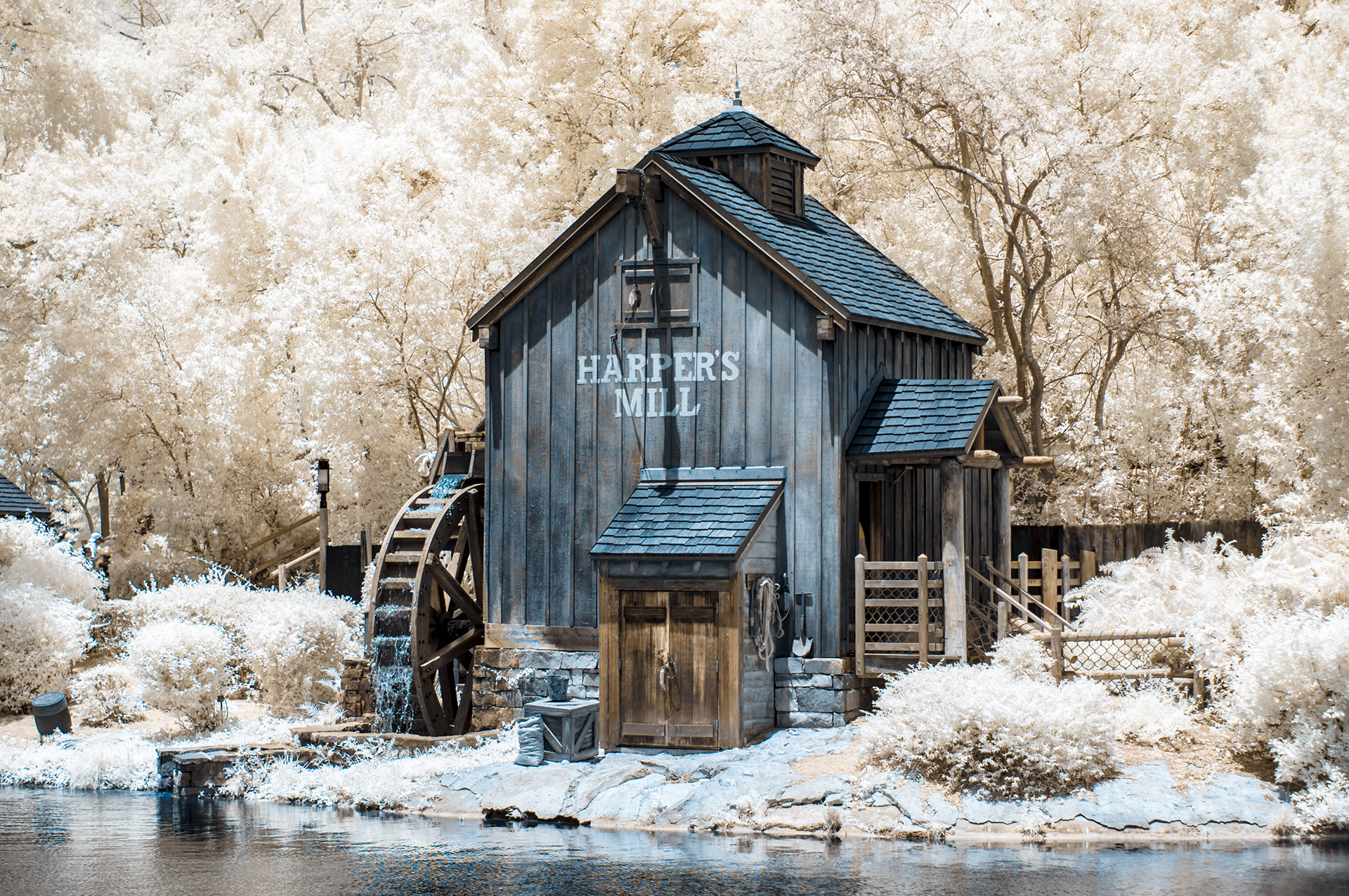 Walt Disney World, Florida, USA