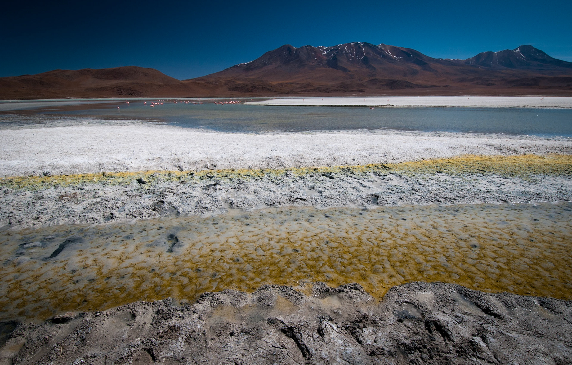Laguna Hedionda (Bolivia)