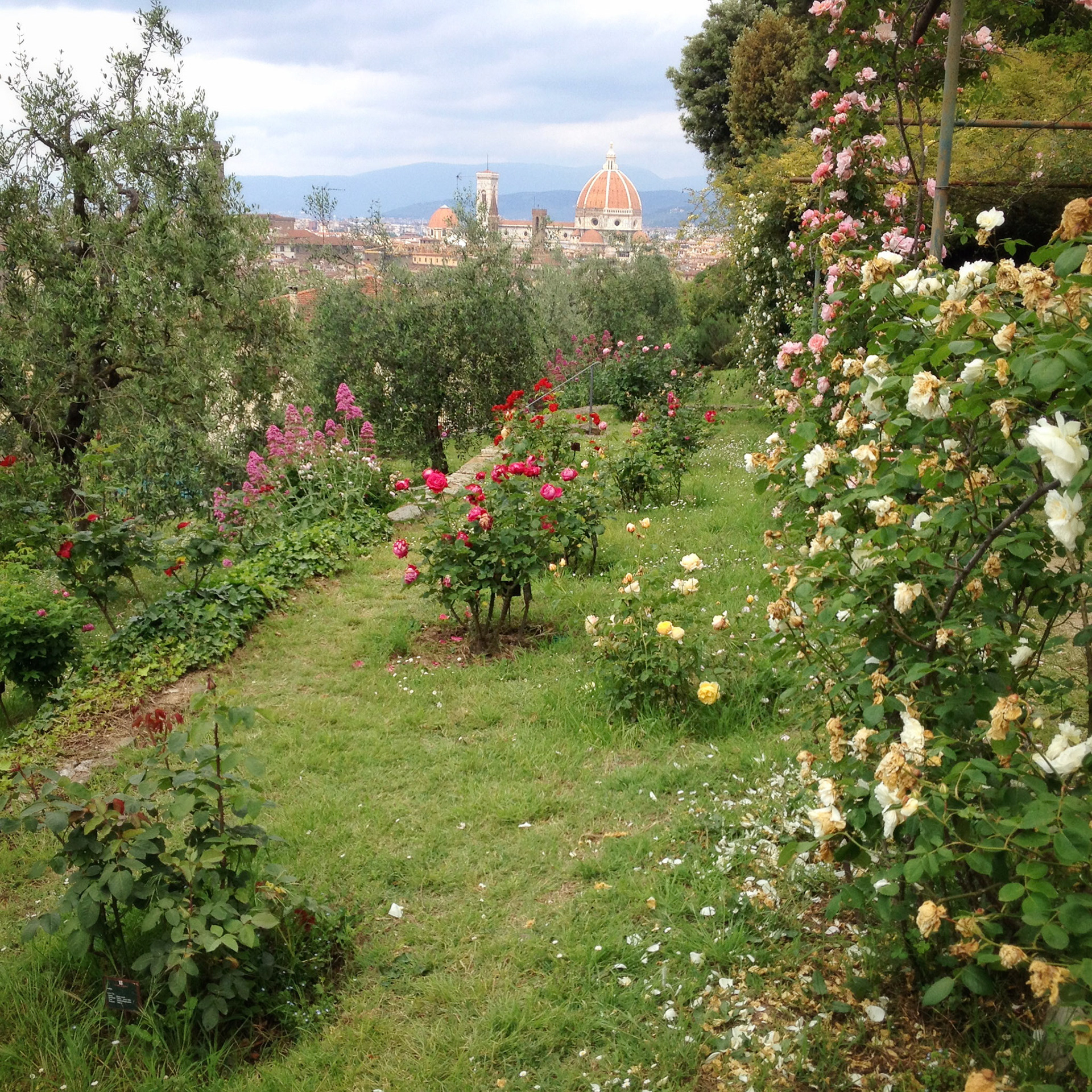 Giardino delle Rose (Firenze, Italy)