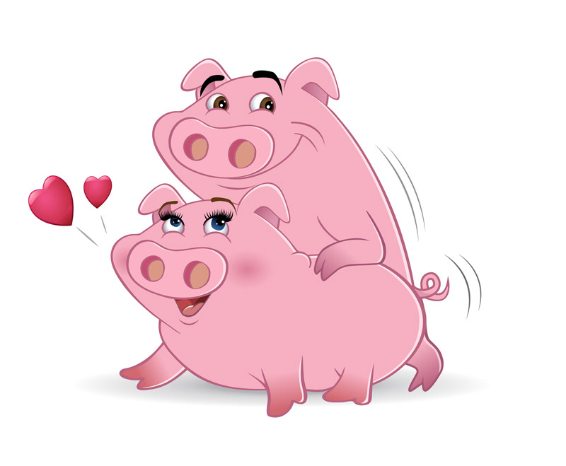cartoon pigs making love