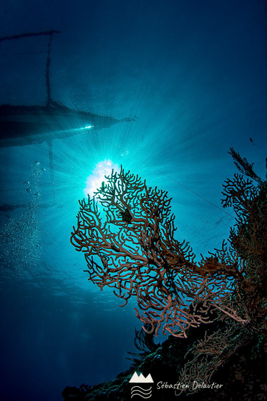 Bateau de pêcheurs, APO reef